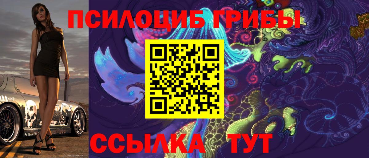 купить   Галлюциногенные грибы Cubensis  Усолье-Сибирское  Вход с VPN  Псилоцибиновые грибы MAGIC MUSHROOMS 